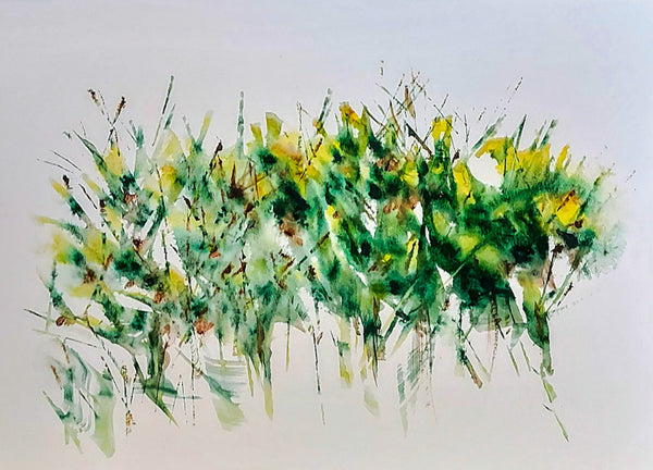 In the Forest Primeval