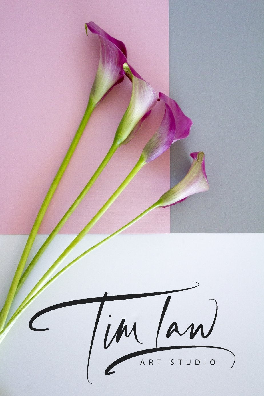 TIM LAW ART GIFT CARD